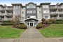 48825
